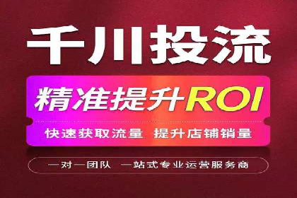 SEM服务案例：助力企业拓展海外市场